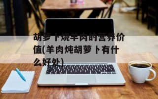 胡萝卜烧羊肉的营养价值(羊肉炖胡萝卜有什么好处)