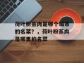 荷叶粉蒸肉是哪个城市的名菜？，荷叶粉蒸肉是哪里的名菜