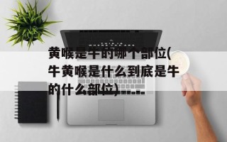 黄喉是牛的哪个部位(牛黄喉是什么到底是牛的什么部位)