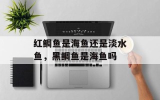 红鲷鱼是海鱼还是淡水鱼，黑鲷鱼是海鱼吗
