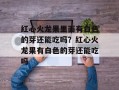 红心火龙果里面有白色的芽还能吃吗？红心火龙果有白色的芽还能吃吗