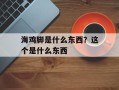 海鸡脚是什么东西？这个是什么东西