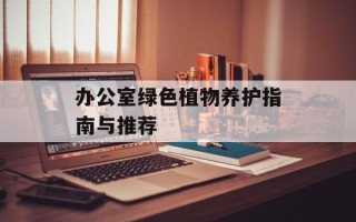 办公室绿色植物养护指南与推荐