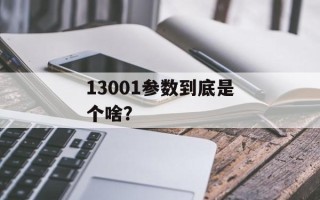 13001参数到底是个啥？