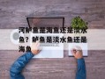 河鲈鱼是海鱼还是淡水鱼？鲈鱼是淡水鱼还是海鱼