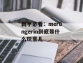 新手必看：merlingerin到底是什么玩意儿