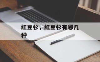 红豆杉，红豆杉有哪几种