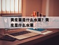 黄皮果是什么水果？黄皮是什么水果