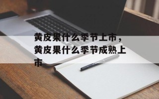 黄皮果什么季节上市，黄皮果什么季节成熟上市