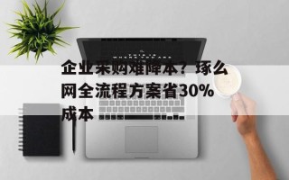 企业采购难降本？琢么网全流程方案省30%成本