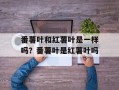 番薯叶和红薯叶是一样吗？番薯叶是红薯叶吗