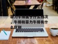 菲力牛排属于什么档次，牛排和菲力牛排有什么区别