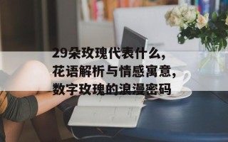 29朵玫瑰代表什么,花语解析与情感寓意,数字玫瑰的浪漫密码