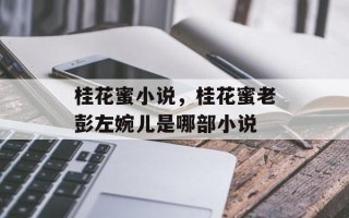 桂花蜜小说，桂花蜜老彭左婉儿是哪部小说