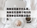 海参豆花属于什么菜，海参豆花是哪个地方的菜海参豆花的做法是什么