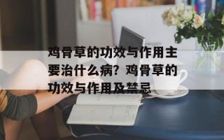 鸡骨草的功效与作用主要治什么病？鸡骨草的功效与作用及禁忌