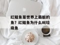 红鲳鱼是世界上最脏的鱼？红鲳鱼为什么叫垃圾鱼