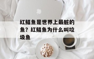 红鲳鱼是世界上最脏的鱼？红鲳鱼为什么叫垃圾鱼