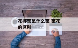 花椰菜是什么菜 菜花的区别