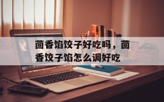 茴香馅饺子好吃吗，茴香饺子馅怎么调好吃