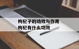 枸杞子的功效与作用 枸杞有什么功效