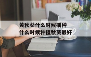 黄秋葵什么时候播种 什么时候种植秋葵最好