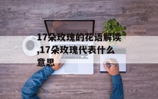 17朵玫瑰的花语解读,17朵玫瑰代表什么意思