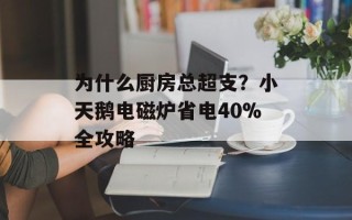 为什么厨房总超支？小天鹅电磁炉省电40%全攻略