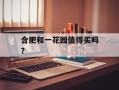 合肥和一花园值得买吗？