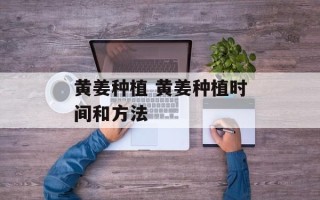 黄姜种植 黄姜种植时间和方法