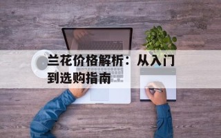 兰花价格解析：从入门到选购指南
