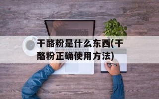 干酪粉是什么东西(干酪粉正确使用方法)