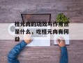 桂元肉的功效与作用点是什么，吃桂元肉有何益