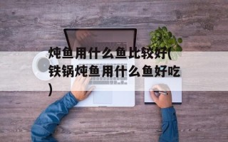 炖鱼用什么鱼比较好(铁锅炖鱼用什么鱼好吃)