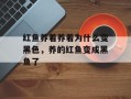 红鱼养着养着为什么变黑色，养的红鱼变成黑鱼了