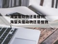 海蜇是动物还是植物(海蜇头是动物还是植物)