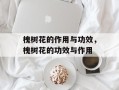 槐树花的作用与功效，槐树花的功效与作用