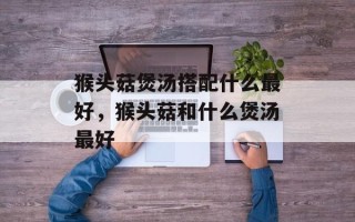 猴头菇煲汤搭配什么最好，猴头菇和什么煲汤最好