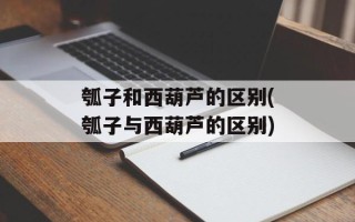 瓠子和西葫芦的区别(瓠子与西葫芦的区别)