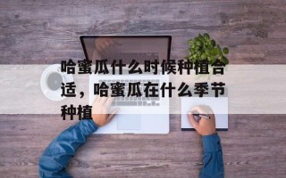 哈蜜瓜什么时候种植合适，哈蜜瓜在什么季节种植