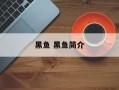 黑鱼 黑鱼简介