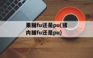 果脯fu还是pu(猪肉脯fu还是pu)