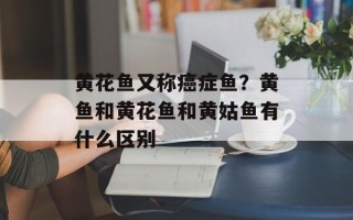 黄花鱼又称癌症鱼？黄鱼和黄花鱼和黄姑鱼有什么区别