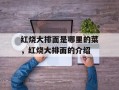 红烧大排面是哪里的菜，红烧大排面的介绍