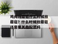 鸡肉炖蘑菇什么时候放蘑菇？什么时候放蘑菇还需要其他配菜吗