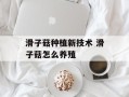 滑子菇种植新技术 滑子菇怎么养殖