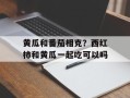 黄瓜和番茄相克？西红柿和黄瓜一起吃可以吗