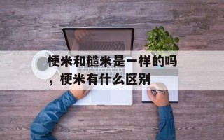 梗米和糙米是一样的吗，梗米有什么区别