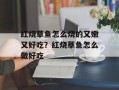 红烧草鱼怎么烧的又嫩又好吃？红烧草鱼怎么做好吃