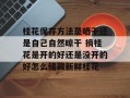桂花保存方法是晒干还是自己自然晾干 摘桂花是开的好还是没开的好怎么储藏新鲜桂花